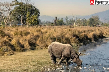 जलप्रदूषण फैलाएकाे भन्दै चौधरी 'ग्रुप'विरुद्ध उजुरी, छानबिन गर्न समिति गठन