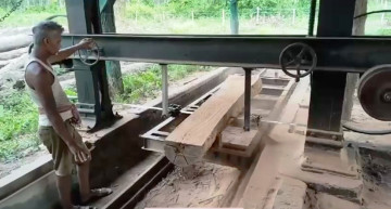 सागरनाथ वनमा डुब्यो एडीबीको डेढ अर्ब, ४८ वर्षपछि बल्ल बिक्री गरिँदै छ मसलाका काठ