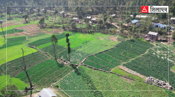 कर्णालीको अर्थतन्त्रमा कृषि: ३१ प्रतिशत हिस्सा, उत्पादन र क्षेत्रफल भने ओरालो गतिमा