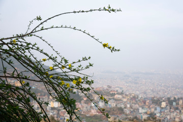 पाँच प्रदेशमा हावाहुरी, पहाडमा हिमपातसँगै वर्षा हुने