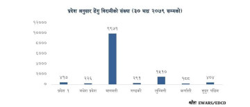 डेंगीबाट १३ जनाको मृत्यु, बिरामीको संख्या १३ हजार नाघ्यो