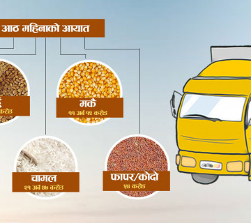 खाद्यान्नमा नेपालको परनिर्भरता बढ्दो, १३ अर्बको धान र २१ अर्बको चामल आयात