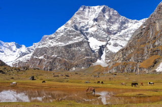 कर्णाली र सुदूरपश्चिमका हिमाल आरोहणमा सलामी शुल्क छुट, अपि हिमालका अध्यक्ष भन्छन्– पर्यटनको ढाेका खुल्यो