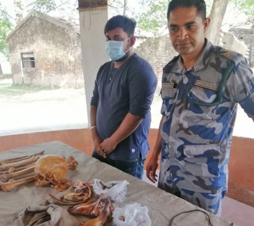 छुटे मानव हड्डी बोकेको आरोपमा पक्राउ परेका विद्यार्थी, मानव हड्डीको विषयमा छैन कानुन