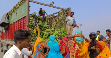 चितवनमा भारतीय केरा, स्थानीय उत्पादनले बजार नपाउँदा चिन्तित छन् किसान