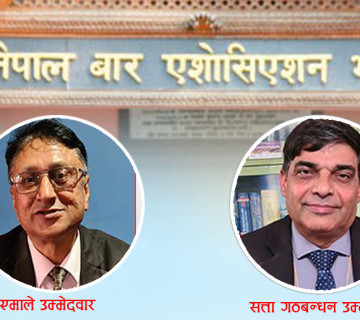 बार एसोसिएसनको मतगणना भोलिदेखि हुने