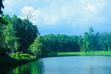 पर्यटकको रोजाइमा बेतना सिमसार