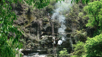 घट्यो भिरमहको उत्पादन 