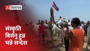 बयलगाडा दौडमार्फत आफ्नो संस्कृति बिर्सनु हुन्न भन्ने सन्देश दिइरहेको कम्बोडिया (भिडियो)