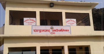 बीस वर्षपछि विवाह गर्नेलाई ५० हजार