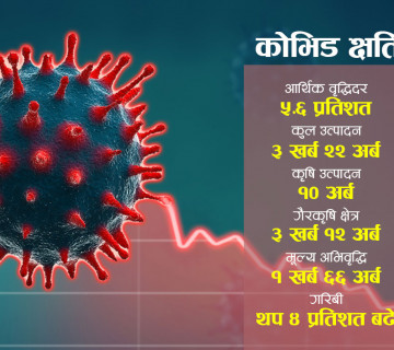 अर्थतन्त्रमा कोभिडको असर कहाँ कति ? यी हुन् उकास्ने रणनीति