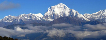 जलवायु परिवर्तनको असर : नाङ्गिँदै हिमाल, बेमौसममा फूल्दै जङ्गली फूल