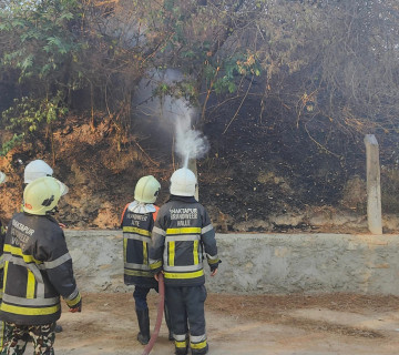भक्तपुरको च्वङा गणेशको जङ्गलमा डढेलो