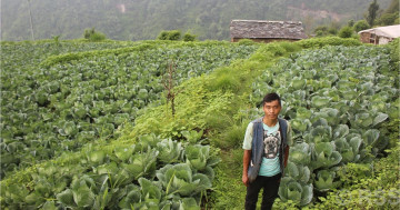दलवीरको बेमौसमी बन्दाखेती