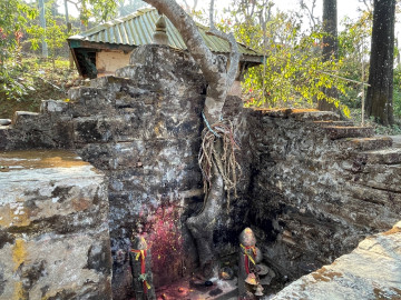 जहाँ देवीलाई चढाइन्छ दाम्लो