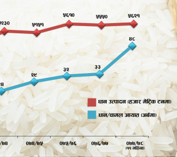 एक परिवारले किन्छन् २१० किलो विदेशी धान-चामल, आधा खर्ब रुपैयाँ पुग्यो विदेशी बजारमा