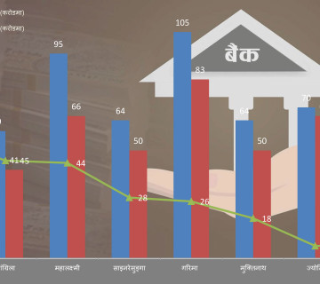 विकास बैंकको नाफा पनि २६ प्रतिशतले बढ्यो, गरिमा 'अर्ब क्लब' उक्लियो