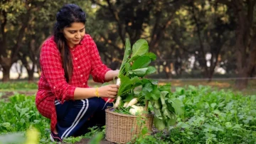 कोलेस्टेरोल नियन्त्रण गर्न के खाने, के नखाने?