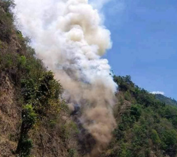 दक्षिण ललितपुरको प्युटार जंगलमा भीषण आगलागी, दर्जनौँ घर जोखिममा