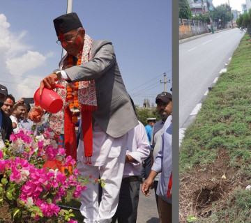 चोरी भयो पोखराका मेयरले रोपेको फूल