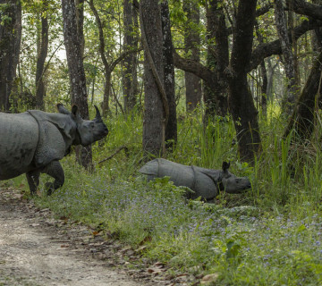 दसैँकाे मुखैमा खुल्याे शुक्लाफाँटा राष्ट्रिय निकुञ्ज, पर्यटकले अब मजाले घुम्न पाउने