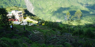 बाँझो पाखोबारीमा झाडी फाँडेर तरकारी खेती, विद्यार्थीले यसरी बनाए हराभरा