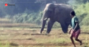 झापामा हात्ती आतंक : घर भत्काइदिएपछि चिसोमा रात कटाउन बाध्य