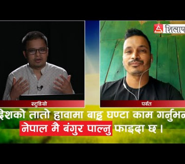 विदेशको तातो हावामा बाह्र घण्टा काम गर्नुभन्दा नेपालमै बंगुर पाल्नु फाइदा छ ।| Shilapatra.com ||