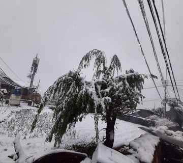 हुम्लाकाे तापक्रम माइनस १२ मा झर्‍यो, धारासँगै खोलानाला जमे