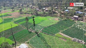 कर्णालीमा तरकारी र फलफूल उत्पादनमा वृद्धि