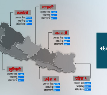 डाक्टरलाई बिरामीको फोन : बेड पाइन्छ ? कहाँ कति छन् बेड, आईसीयू र भेन्टिलेटर ?