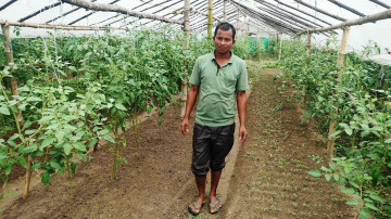 जयप्रकाशको प्रेरणादायी यात्रा: मजदुरदेखि सफल व्यावसायिक किसानसम्म