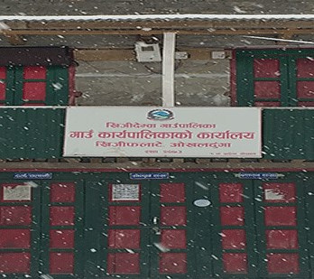 खिजीदेम्बा गाउँपालिकामा जसपाले मतदातालाई छाता बाँडेको आरोप