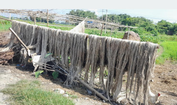 लगानीअनुसार जुटले मूल्य पाएन, उत्पादन भने बढ्दै