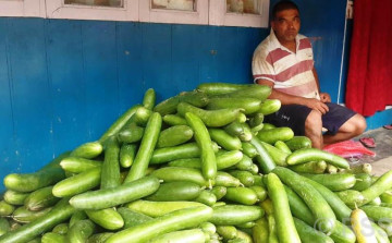 काँक्रो खेतीबाट मनग्य आम्दानी, एकै सिजनमा ७ लाख कमाइ