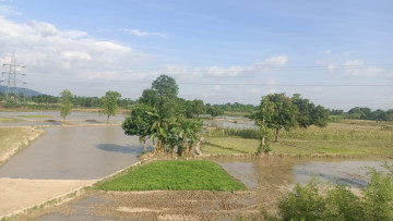 धान रोपाइँका लागि कृषकको आशा बनेर बग्दै कमला नहरको पानी