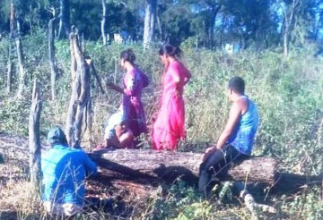 कञ्चनपुरमा १३९ रुख काटेर गायब पारियो, जनप्रतिनिधि नै संलग्न भएको आशंका