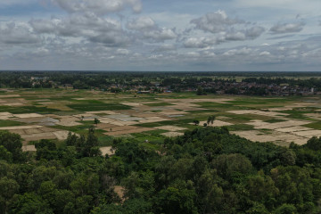 तराईमा लामो खडेरीपछि वर्षा, किसान भन्छन्– अमृत बर्सेजस्तै भयो