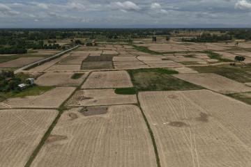 खडेरी लागेको मधेशमा कस्तो छ खेतहरूको अवस्था ? (तस्वीरहरू)