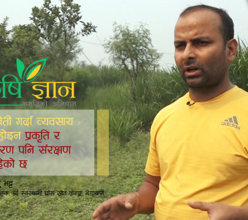 घाँसखेती गर्दा व्यवसाय मात्र होइन, प्रकृति र वातावरण पनि संरक्षण भइरहेको छ || Bishnu Bhatta ||