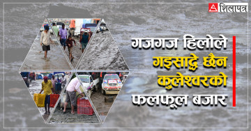 हिलोले यस्तो विजोग छ- कुलेश्वरको फलफूल बजार (तस्वीरहरू)