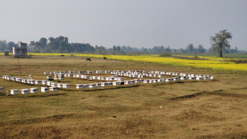 महबाटै करोडको कारोबार गर्दै आएका विनोद हमाल भन्छन्– पैसा विदेशभन्दा स्वदेशमा धेरै छ