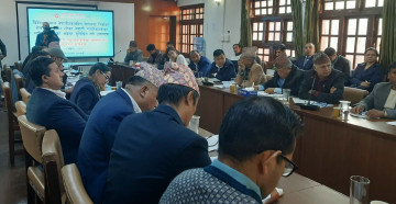 विदेशबाटै मताधिकार दिन जेन–जीको दबाब, के भन्छन् दलका नेता ?