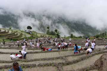 आज दिउँसो यी ६ प्रदेशमा भारी वर्षा हुने, राति धेरै भारी वर्षाको सम्भावना