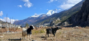 देशका अधिकांश भागमा मौसम सफा रहने