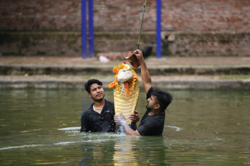 भक्तपुरमा यसरी मनाइयो नागपञ्चमी (तस्वीरहरू)