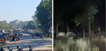 जैविक मार्गमा जताततै अवरोध हुँदा बढ्दै छ मानव–वन्यजन्तु द्वन्द्व