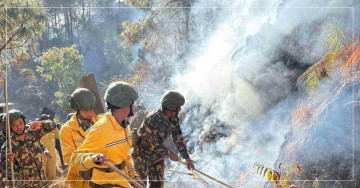 पाल्पामा डढेलोले सखाप हुँदै जङ्गल