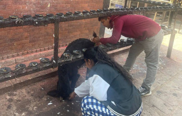पीपीआर देखिएको भन्दै पाँचखाल नगरपालिकाले भन्यो- साँढे र बोका छोड्ने कार्य रोक्नू