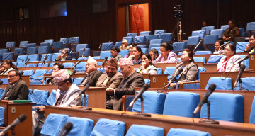 सुधार नगरे नेप्से बिचौलियाको स्वार्थमा डुब्ने निश्चित छः अर्जुननरसिंह केसी
